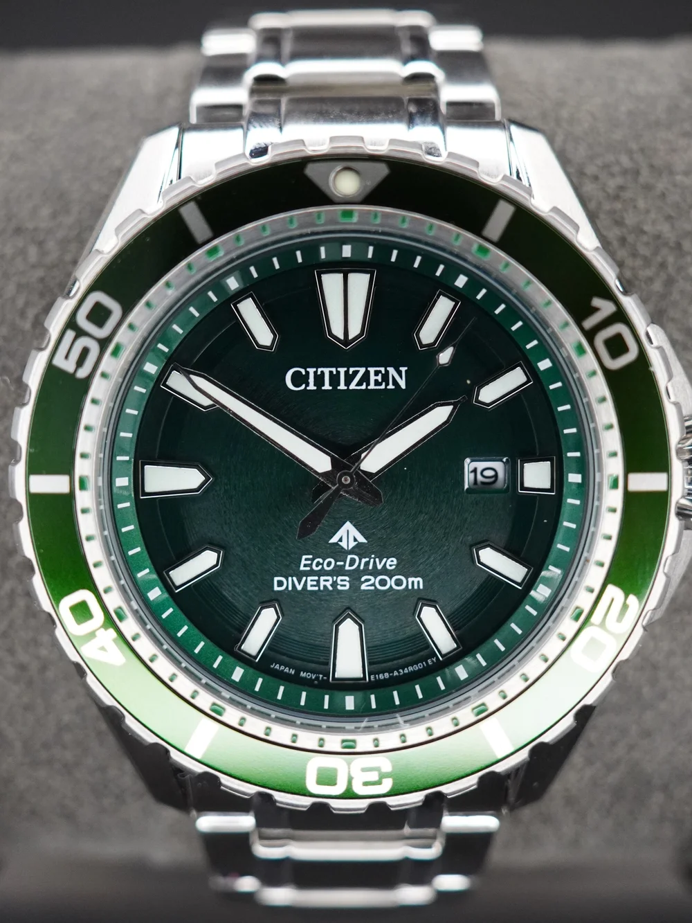 Citizen model reference